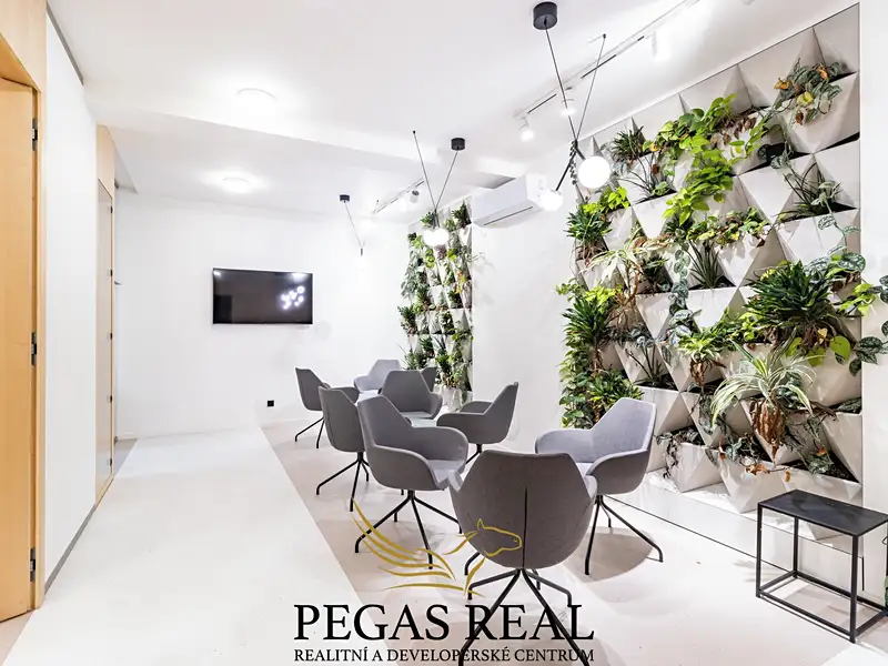 Pronájem komerčního prostoru, 228 m², Brno-město, Brno